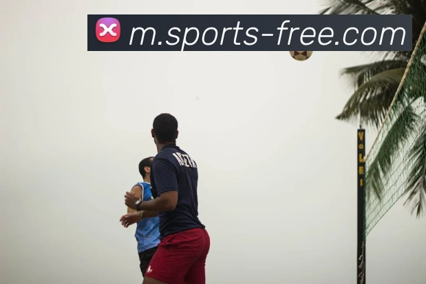 多媒体互动体验